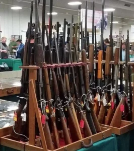 Haines City Gun Show