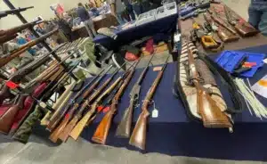 mcallen texas gun show