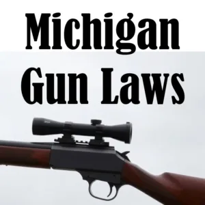 Michigan Gun Laws